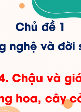 Chủ đề 1 - Bài 4 Chậu và giá thể trồng hoa, cây cảnh